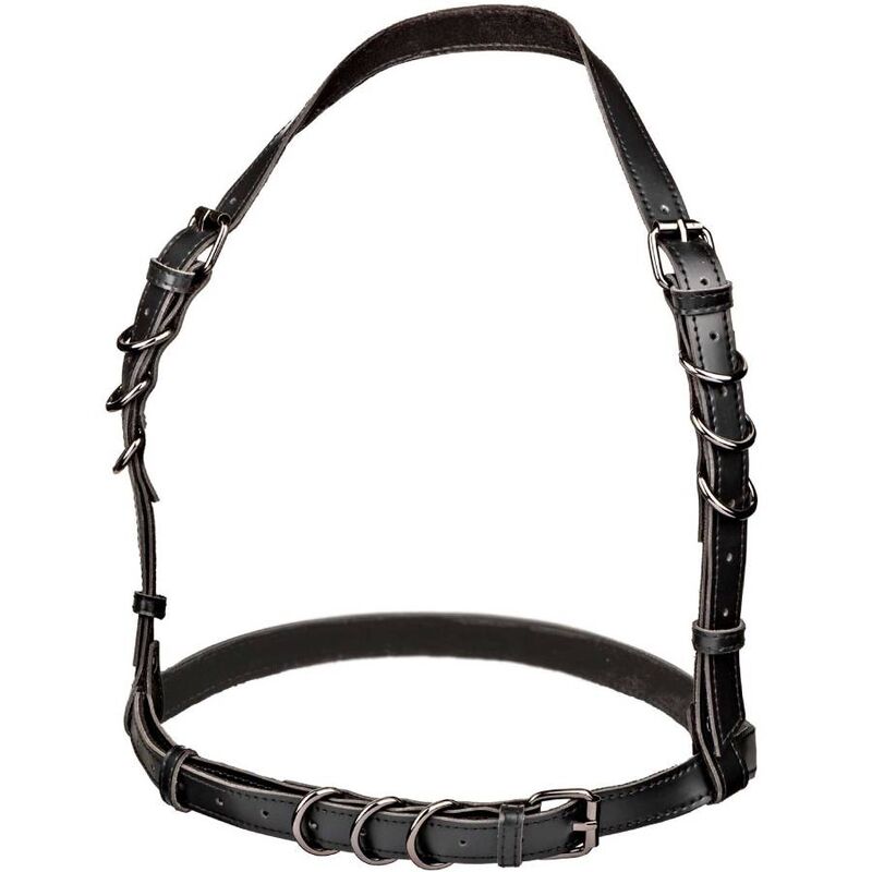 Harnais Licol Euphoria Taille Plus Noir - CalExotics