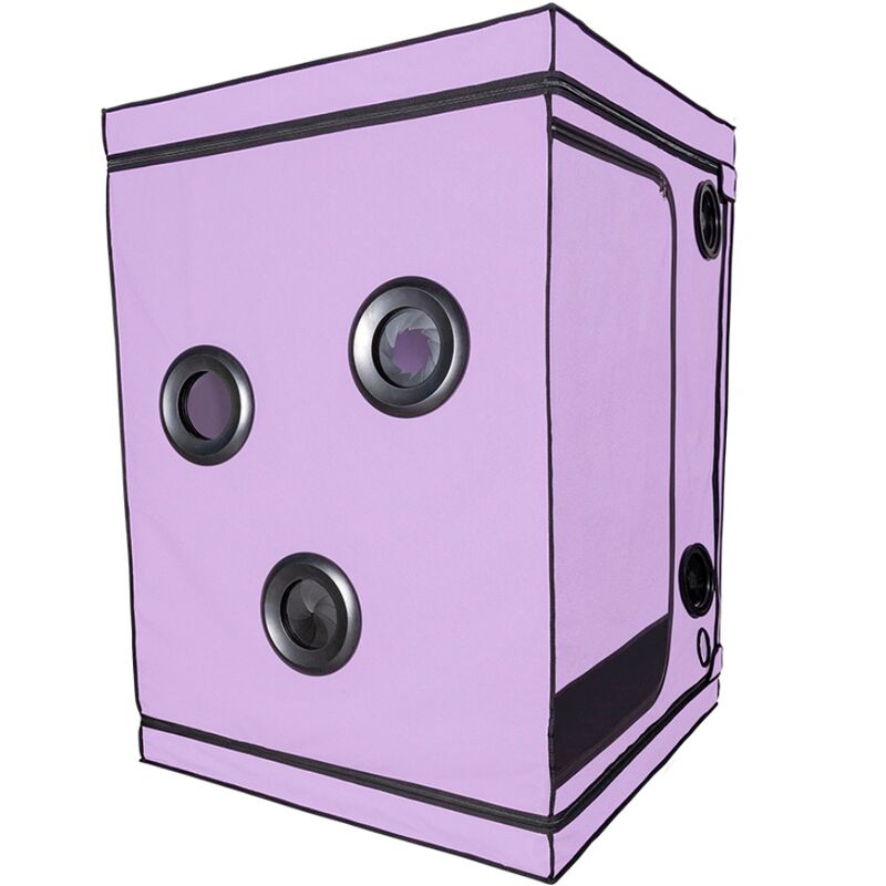 Secret Dome - Cabine BDSM ’Bondage box’ Scandale - Violet et Noir