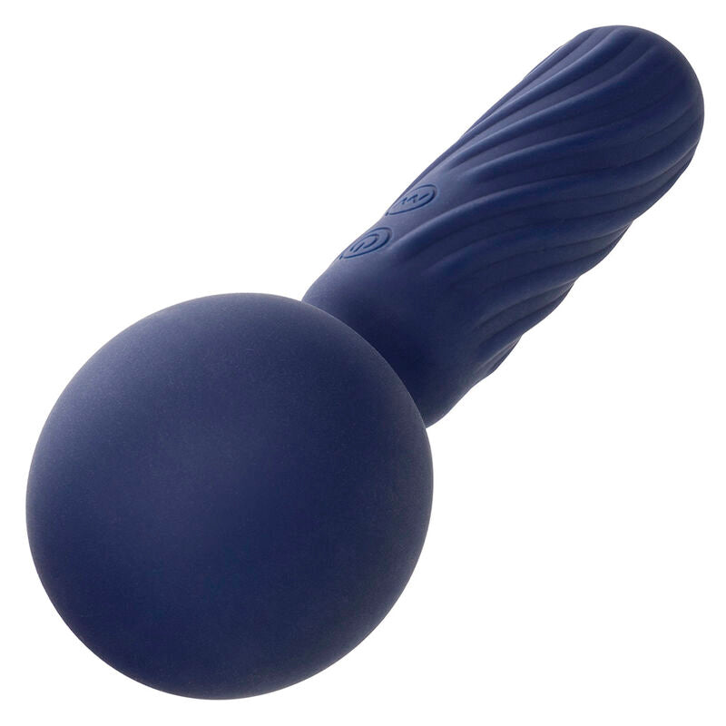 Masseur Vibrant Charisma Seduction Violet - Calexotics