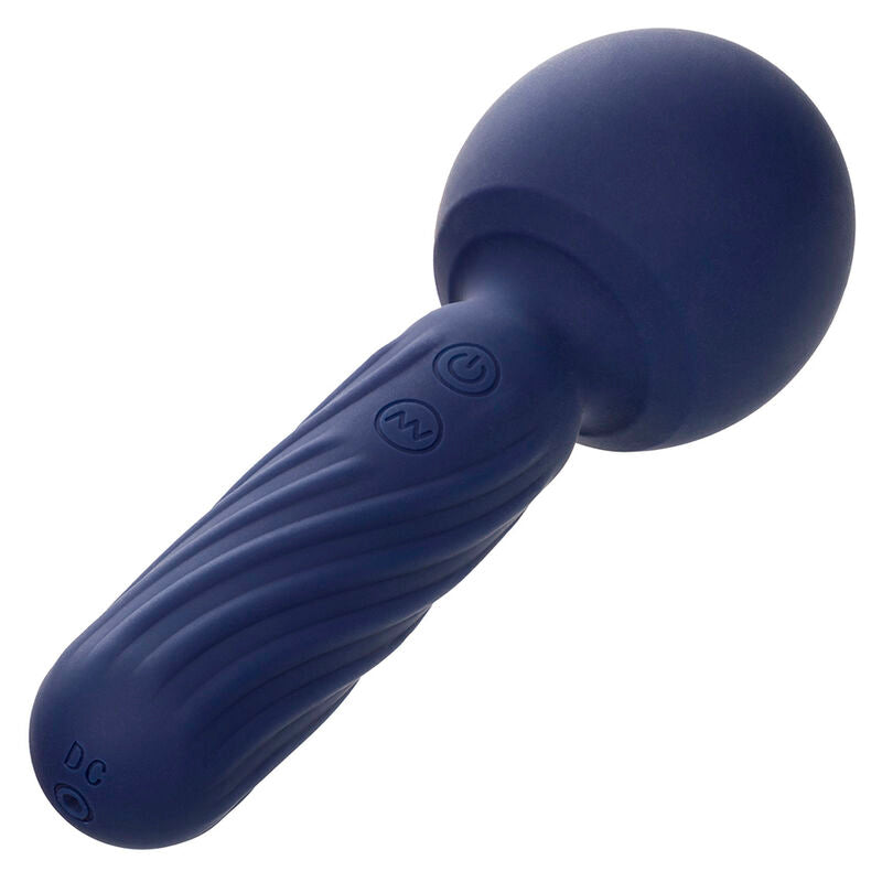 Masseur Vibrant Charisma Seduction Violet - Calexotics